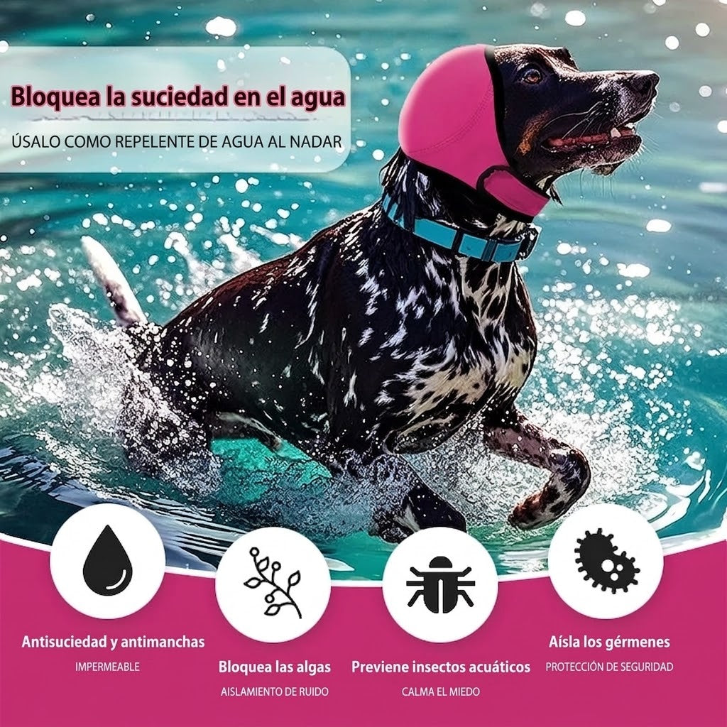 Capucha Antiansiedad e Impermeable para Perros